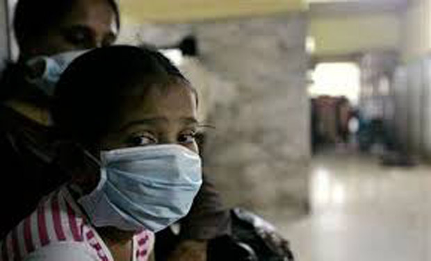 The total number of cases diagnosed diagnosed with swine flu in both Telangana and Andhra Pradesh in 2014 stood at 86. The total number of cases diagnosed diagnosed with swine flu in both Telangana and Andhra Pradesh in 2014 stood at 86.